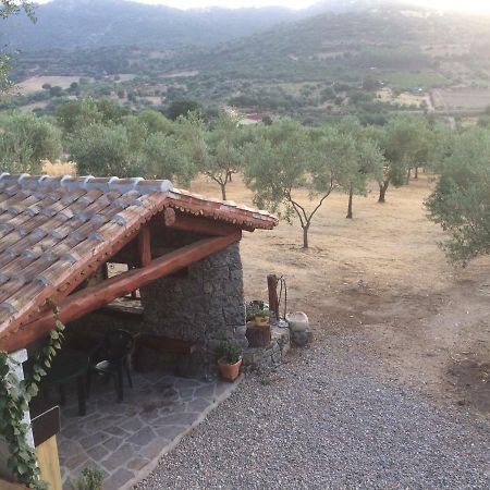 Villa S'Umbra De S'Ozzastru à Orgosolo Extérieur photo