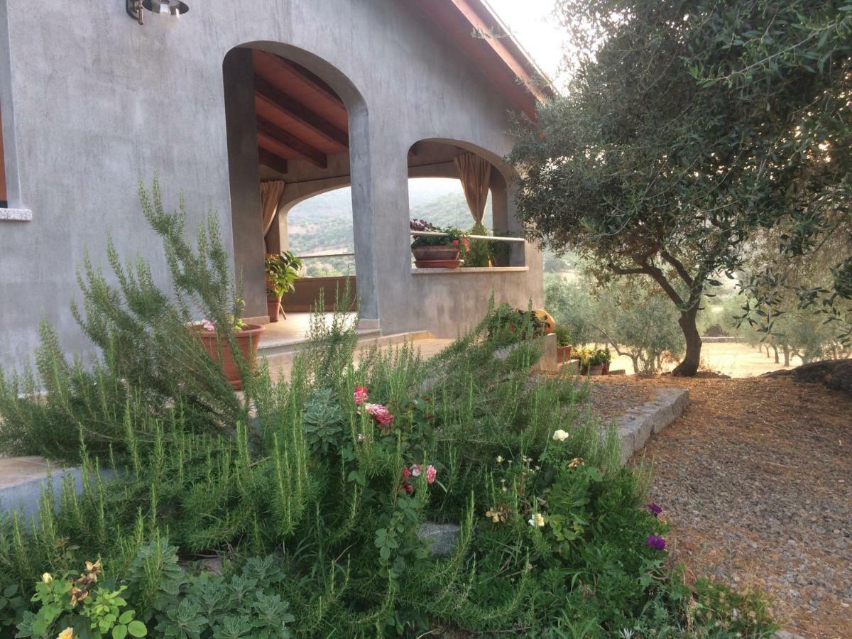 Villa S'Umbra De S'Ozzastru à Orgosolo Extérieur photo