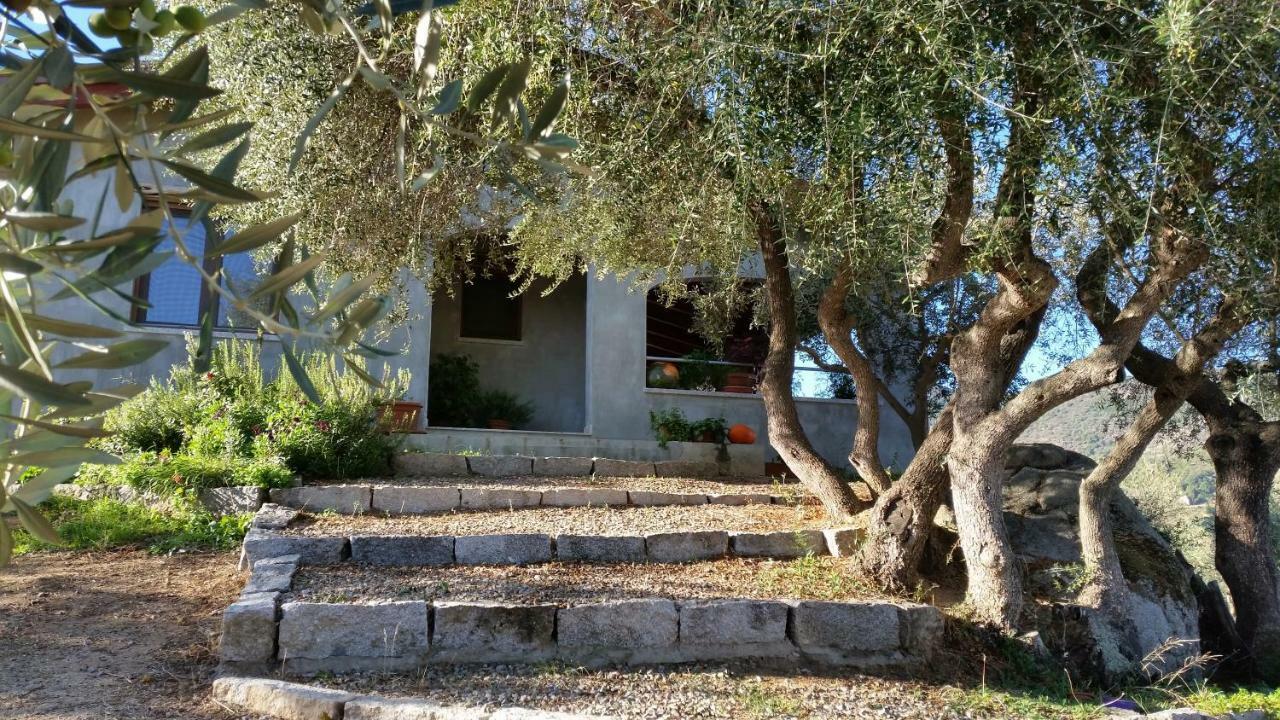 Villa S'Umbra De S'Ozzastru à Orgosolo Extérieur photo
